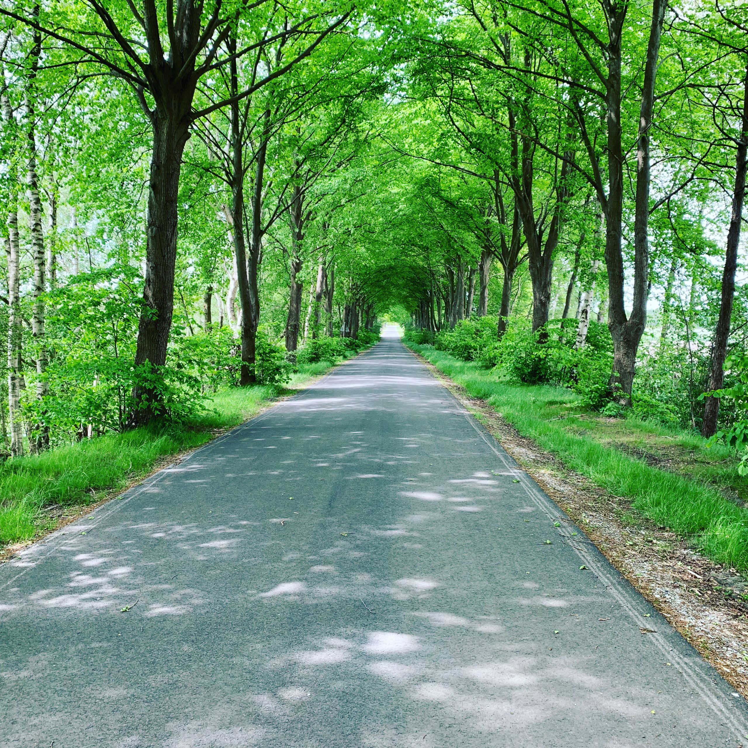 D74F0D6E-D4BA-47FF-8EF5-3E24E6CCDD97